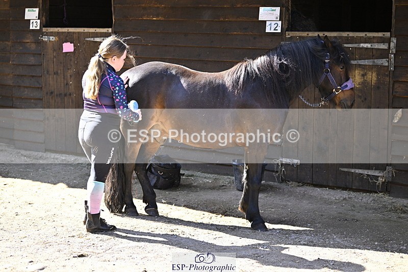 240728B-093110-00036 - Sunday Stable Shots and Fancy Dress