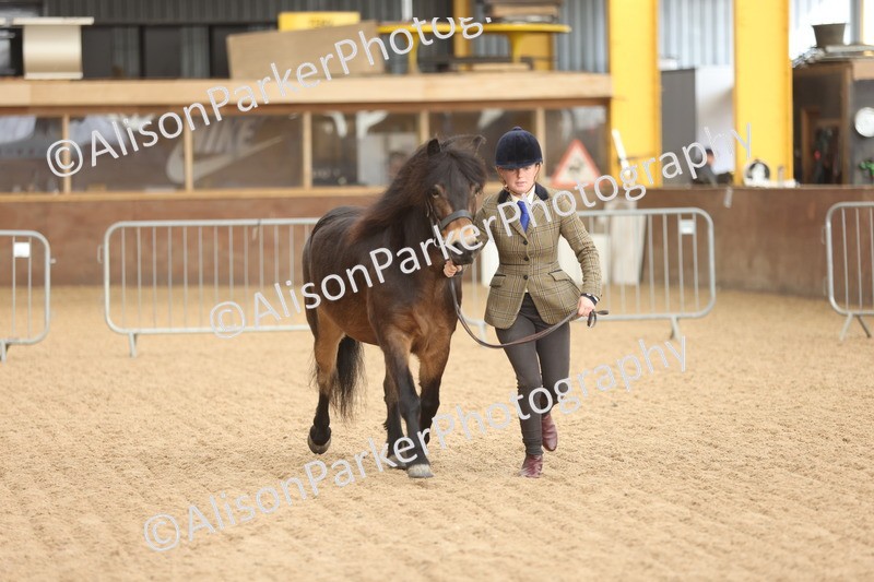 20251109-0627 - Class 22 - Geldings 4 Years and over