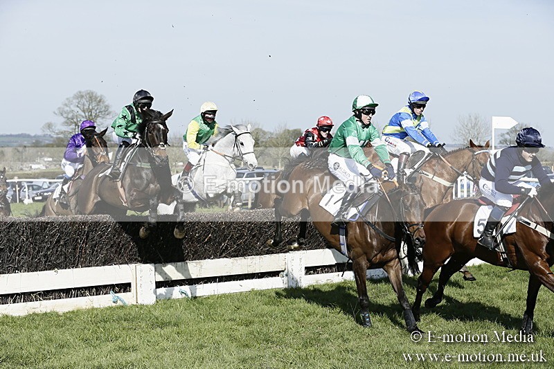 PtP 260317 240 - Mendip Farmers Point-to-Point Ston Easton 26/03/17