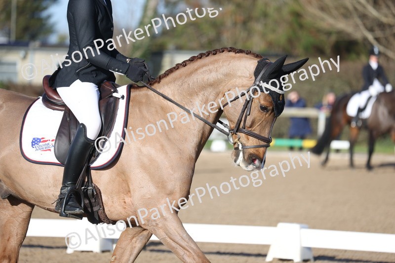 20260128-0165 - Class 3 - Novice 4