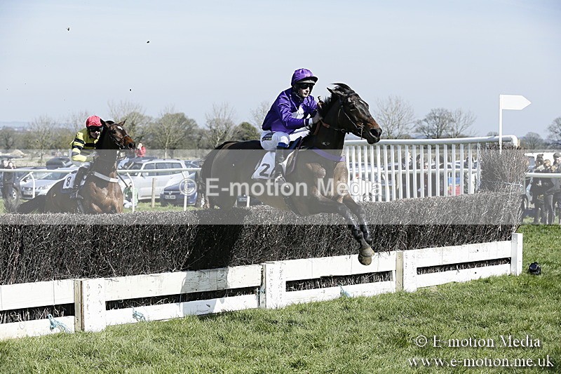 PtP 260317 49 - Mendip Farmers Point-to-Point Ston Easton 26/03/17