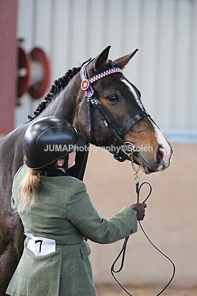 SIAL9708 - Indoor Classes