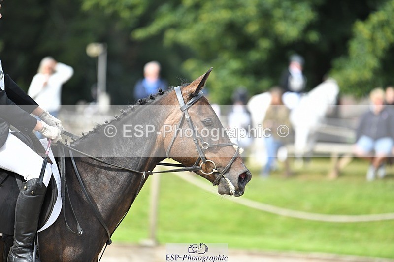 230827-100716-22941 - SJ 10 to 11.30 coursewalk