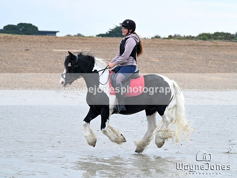 WJ7_8813 - Hayling Island Beach Shoot 22-09-24