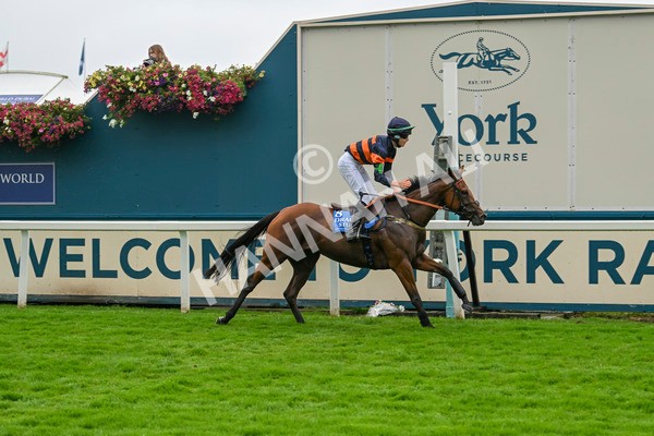 080924-Pony Race-8506 - Pony Race 1.00pm The Dragon (TV and Film) Studios Pony Race 148cm & Under