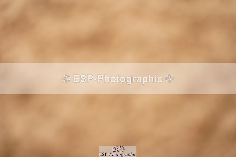 240524A-134910-04087 - Cls 17 National 1.30m