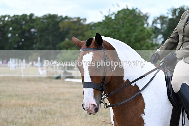 WJ7_5323 - Class 12 Ridden Cob