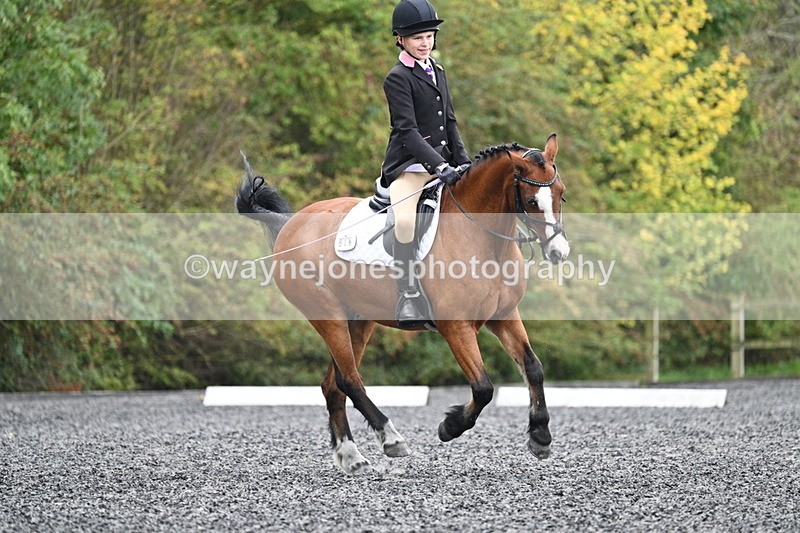 WJ7_4028 - Time 11:04 to 11:38