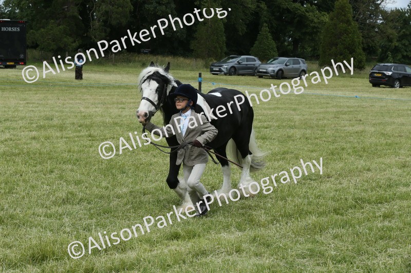 20260614-4278 - Class 18 - Best Junior Handler