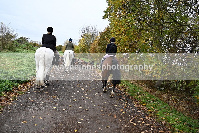 WJ6_9246 - Ride