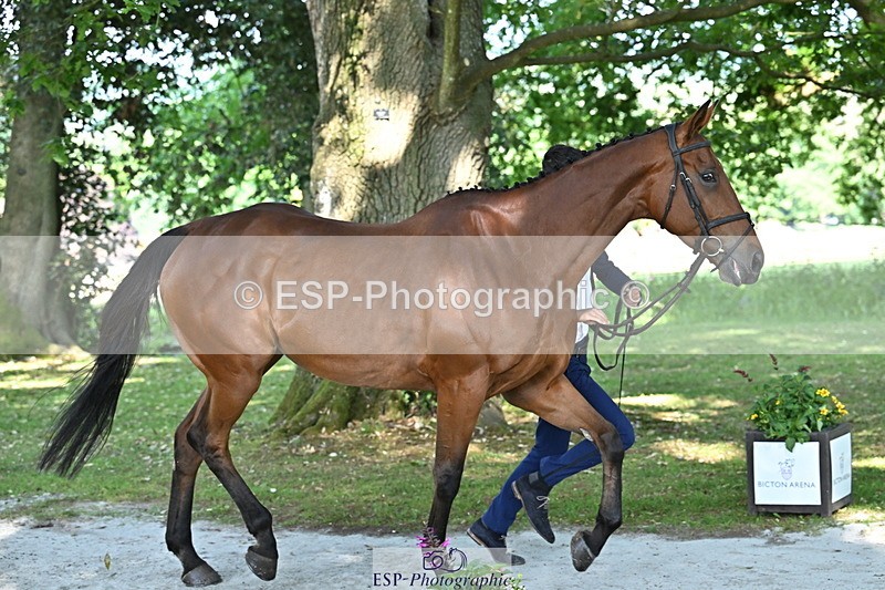 250521A-162155-01090 - C-216-Harrison.Chart-MY.KIND.OF.LADY