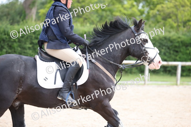 20250608-0752 - Class 3 - 60cm