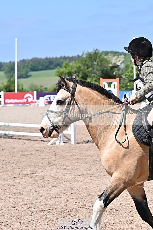 250517-115334-01025 - 40cm