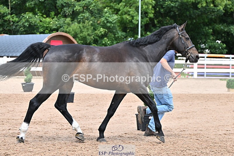 240718A-105320-01875 - Trot Up 1pm to 2pm