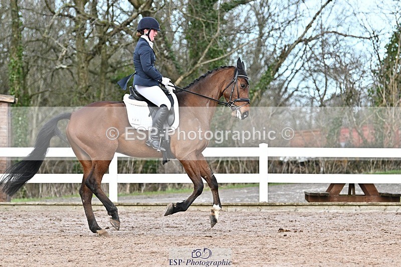 250125-130436-00549 - Dressage - CT Class 6 BE102