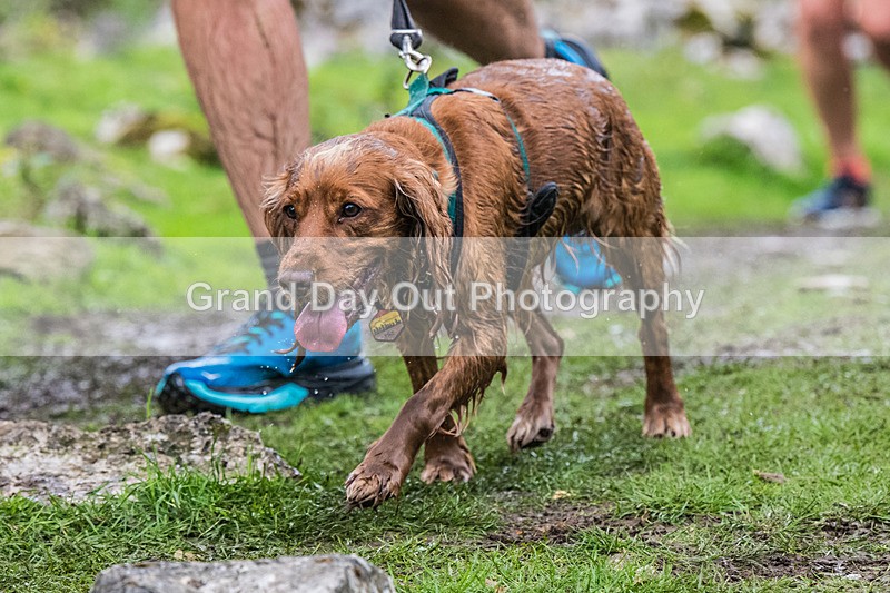 Dovedale Dash-1653 - Dovedale Dash Sunday 5th October 2025