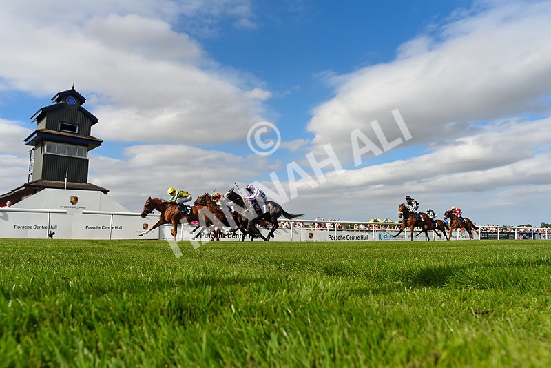 140824-Race 6-Glistening Nights-1970 - Race 6
