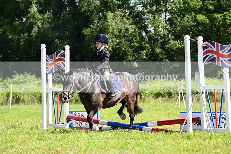 WJ6_3562 - Class 1 Tiny Cross Poles
