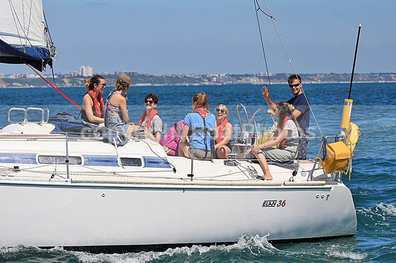 180805 HARRIER 1Y3A7821 - Sailboats - monohull
