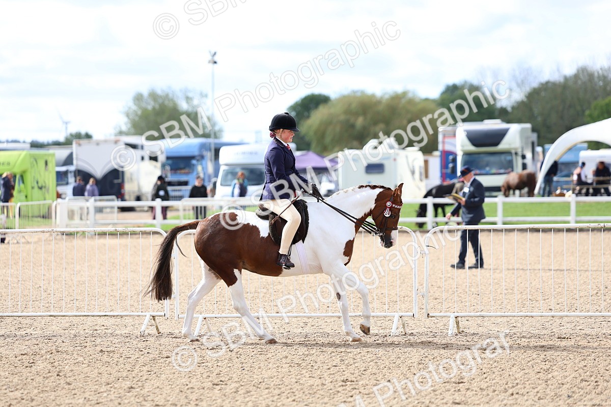 SBM_10042 - Class 304 - Ridden Part Bred Horse Pony