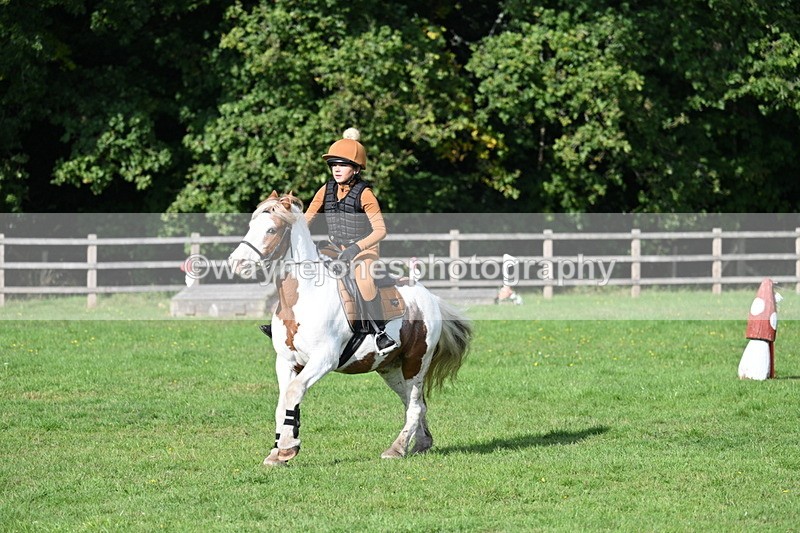 WJ7_3938 - 40cm Time 10:26 to 10:42