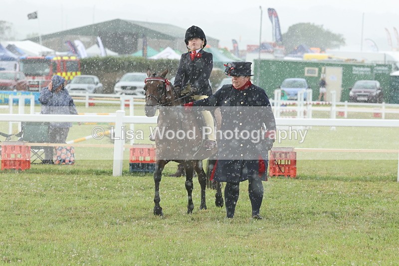 JPP_0374 - Class 14: Cornish Combination Leading Rein