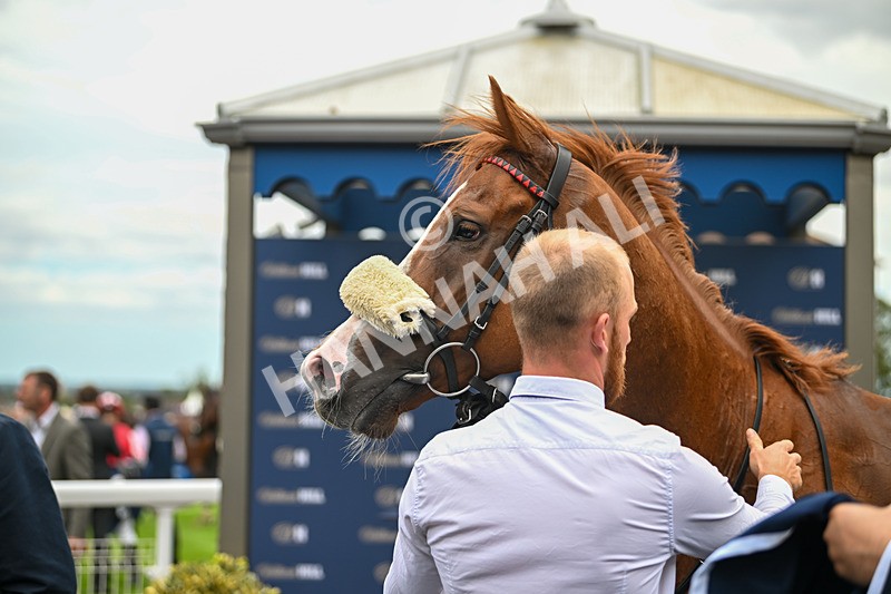 300825-Race 2-Shagraan-0814 - Race 2