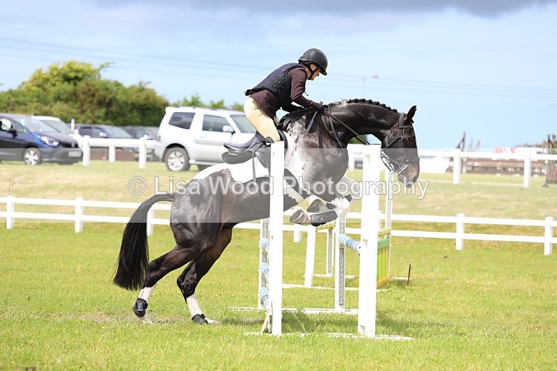3E7A7658 - Class 13: Senior British Novice/90cm open