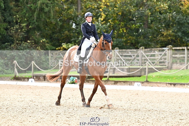 251023A-124118-02300 - B-154-Holly.Law