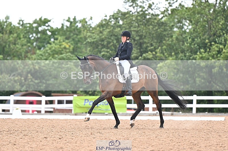 240815A-155335-02478 - 228-Nicola.Rapley-Scolari's.Glory