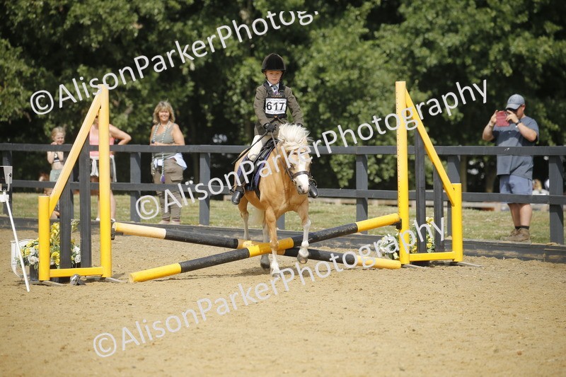 20250622-3790 - 50cm