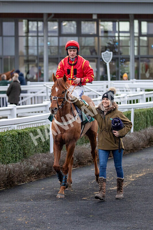 171224-Race 4-Wise Eagle-0221 - Race 4