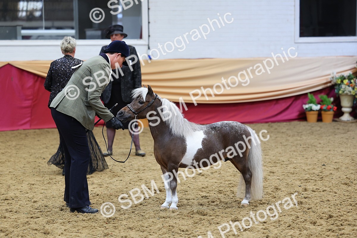 SBM_22890 - Class 903 - Supreme Final - IH Pre Vet