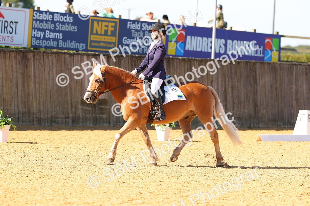 SBM_39921 - D18 - Grand Tour Championship - Novice 34