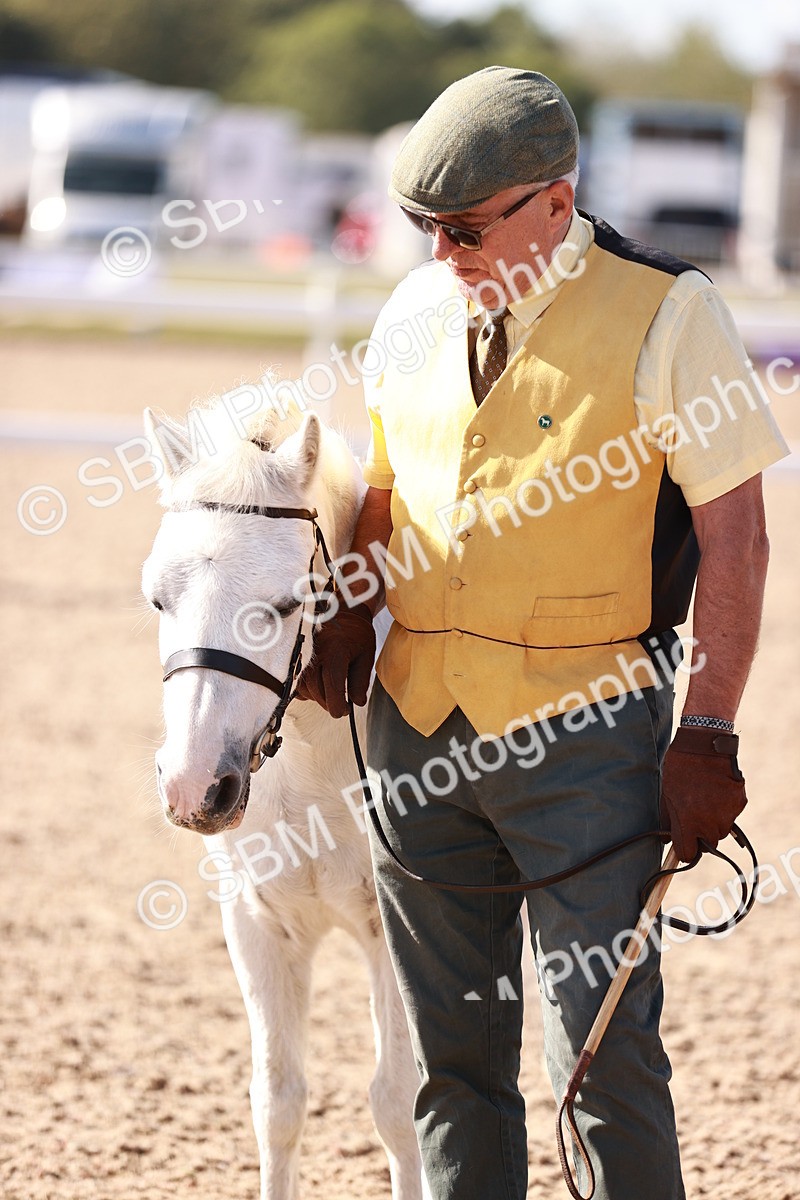 SBM_22813 - Class 705 - IH Combination 65+