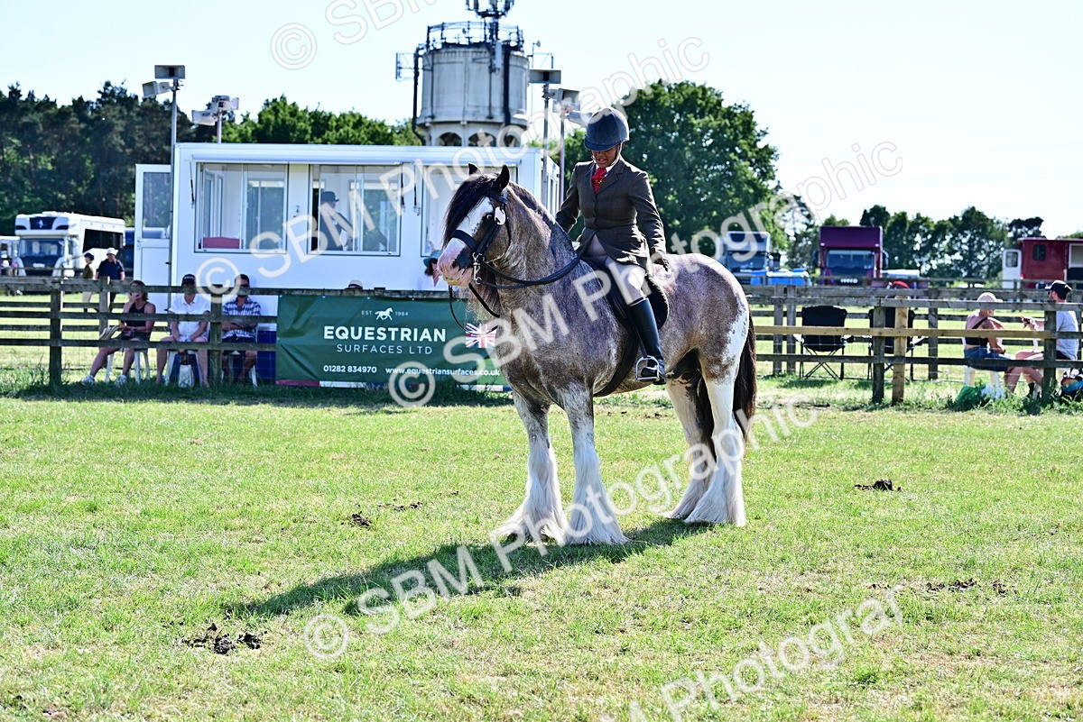 SBM_19436 - Class 101-102 - BSPS LIHS Performance Coloured Horse/Pony