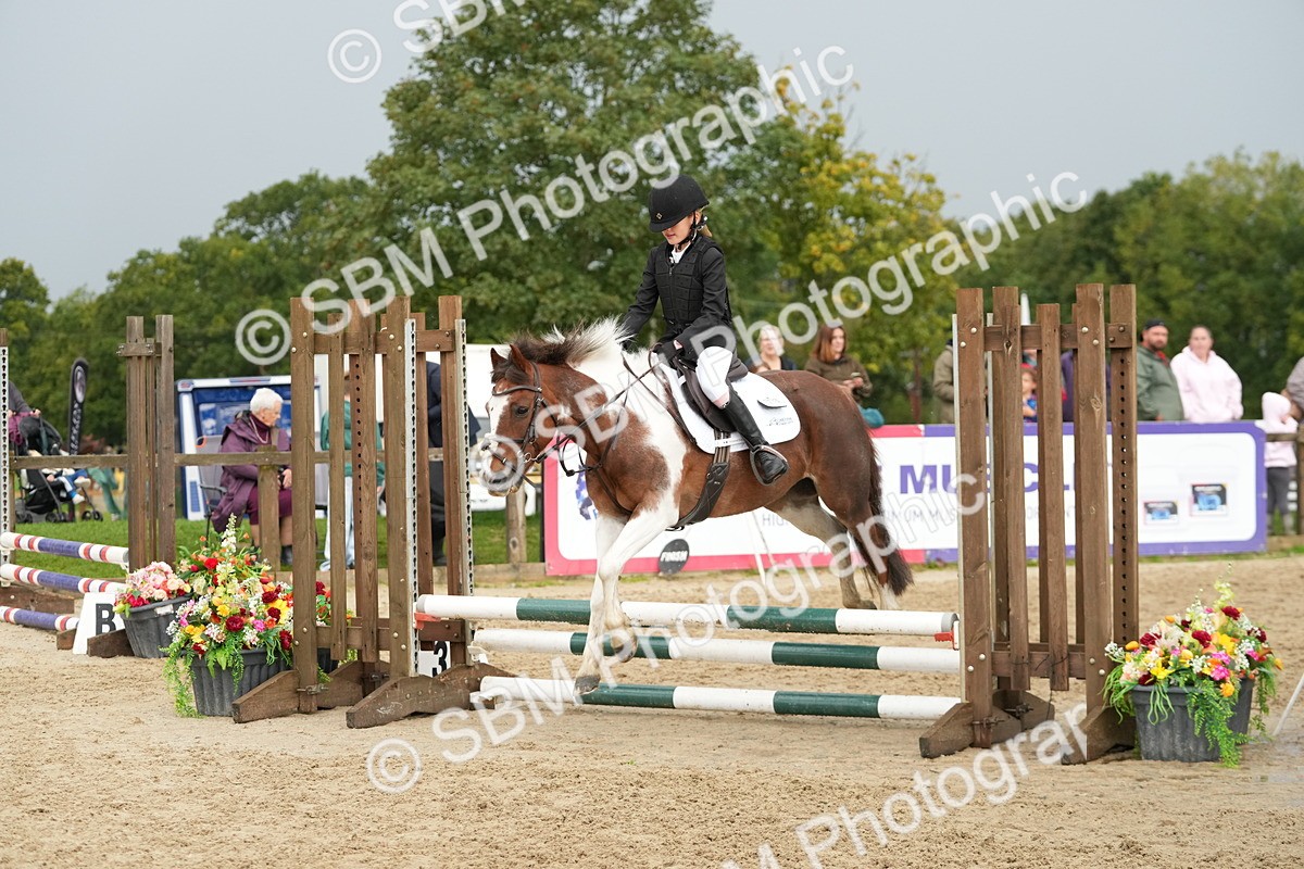 SBM_33466 - J5 - Junior Pony 50cm Championship