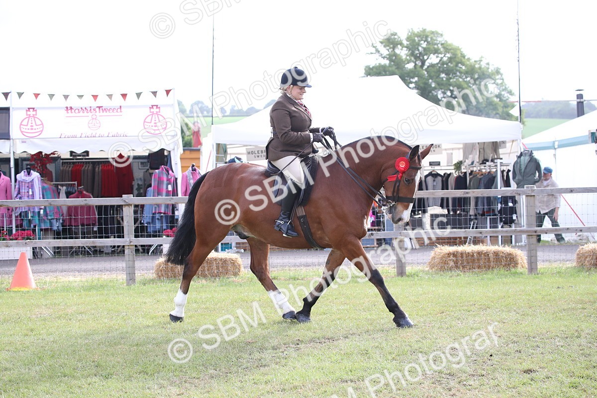 SBM_11171 - Class 92-93 - LIHS BSHA Rising Star Cobs