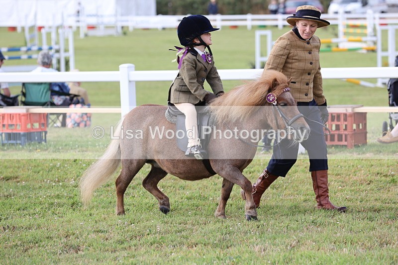 JPP_0219 - Class 14: Cornish Combination Leading Rein