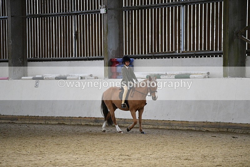 WJ5_8396 - Class 14 Novice Ridden/Rider