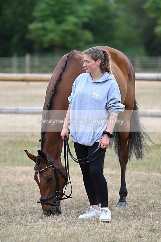 WJ7_9847 - Class 5a Most Handsome Gelding (above 14.2hh)