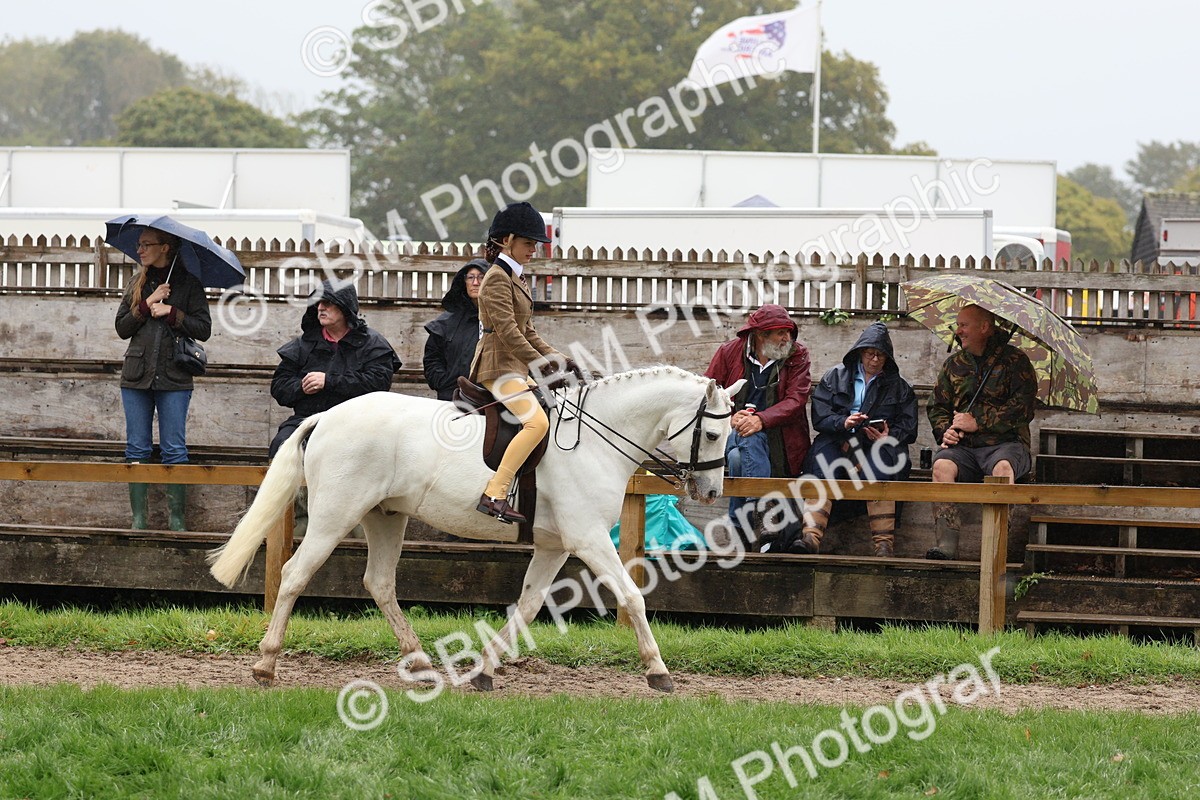 SBM_72996 - S63 Show Pony & Show Hunter Pony Ridden