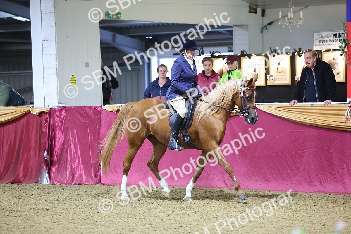 SBM_19077 - Class H Foreign Breeds Champ