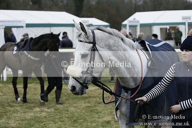 PtP 110318 7 - Hampshire Hunt Point-to-Point Hackwood Park 11/03/18