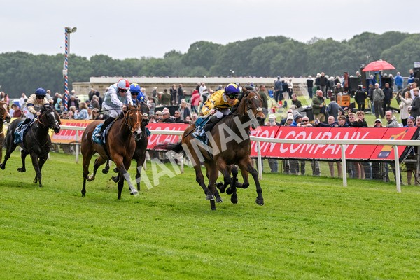 150525-American Affair-3682 - Race 1 2.10pm Lindum York Handicap