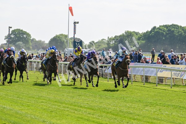 140525-Race 2-Rousing Encore-1785 - Race 2 2.42pm Churchill Tyres Handicap