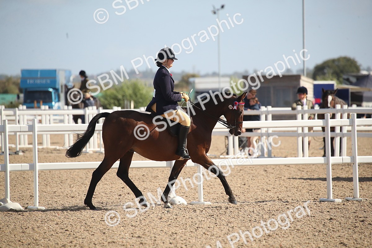 SBM_22824 - Class 602 - 2026 Area - Ridden Veteran