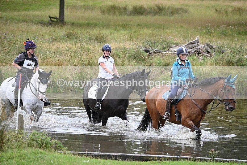 WJ7_2669 - Time at Water 11:37 to 12:13