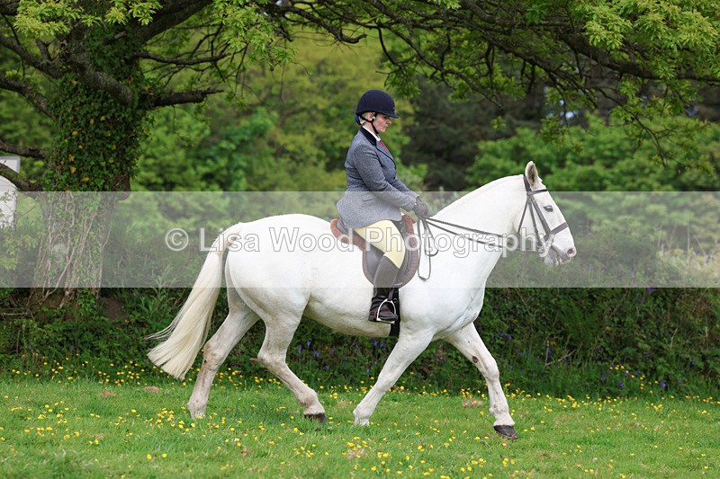 3E7A1347 - Class 7: Ridden Hunter Type