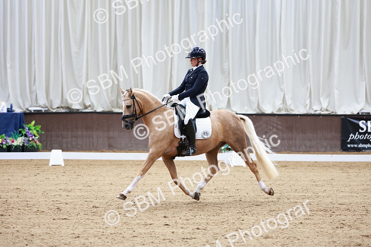 SBM_017314 - Class15 - FEI Pony